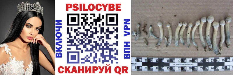 shop официальный сайт  Окуловка  Псилоцибиновые грибы ЛСД 